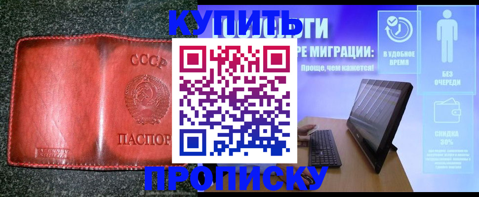 найти адрес прописки в Камчатской области