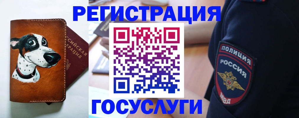 временная регистрация в квартире в Камчатской области